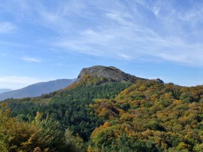 Прикрепленное изображение: DSCF5842.jpg